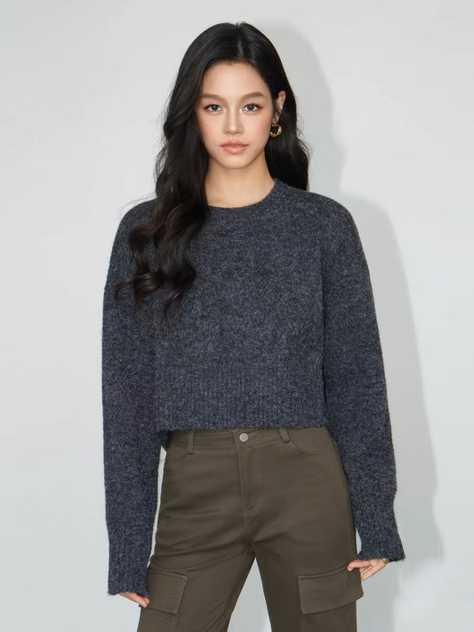 NEVA HU gray short sweater women's loose outer wear 2024 autumn and winter new versatile pullover knitted top