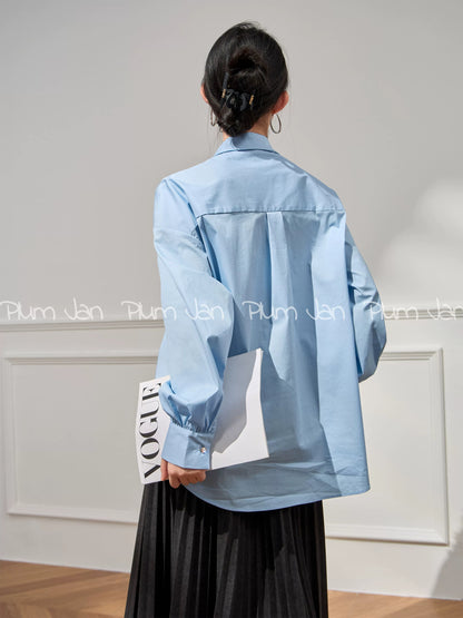 Plum Jan/Copper Sulfate Wear Blue High-Level Design French Shirt Autumn 2024 New Tops for Women